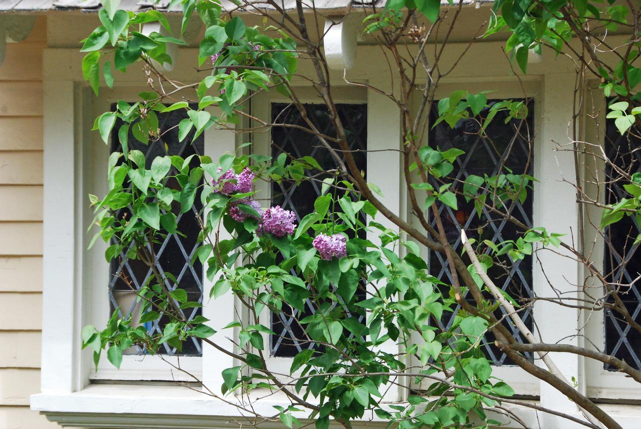 Apple Tree Historic B&B Niagara-on-the-Lake Eksteriør bilde